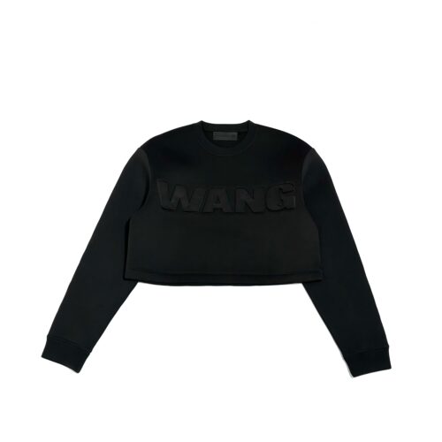 Alexander Wang x HM SS14 Cropped Jersey
